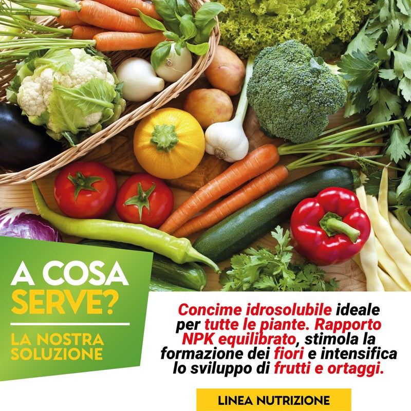 Concime 20 20 20