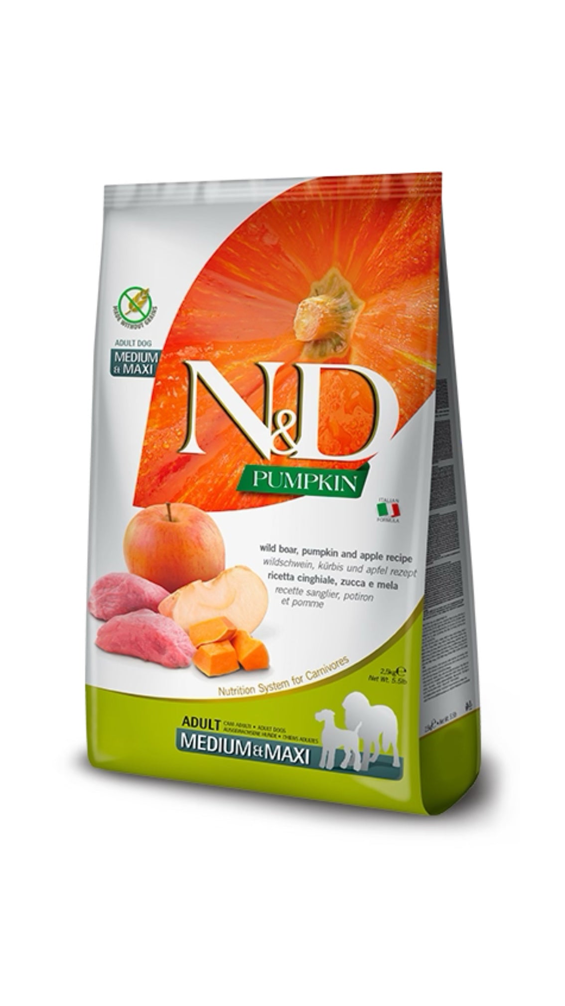 Nd Pumpkin Cinghiale