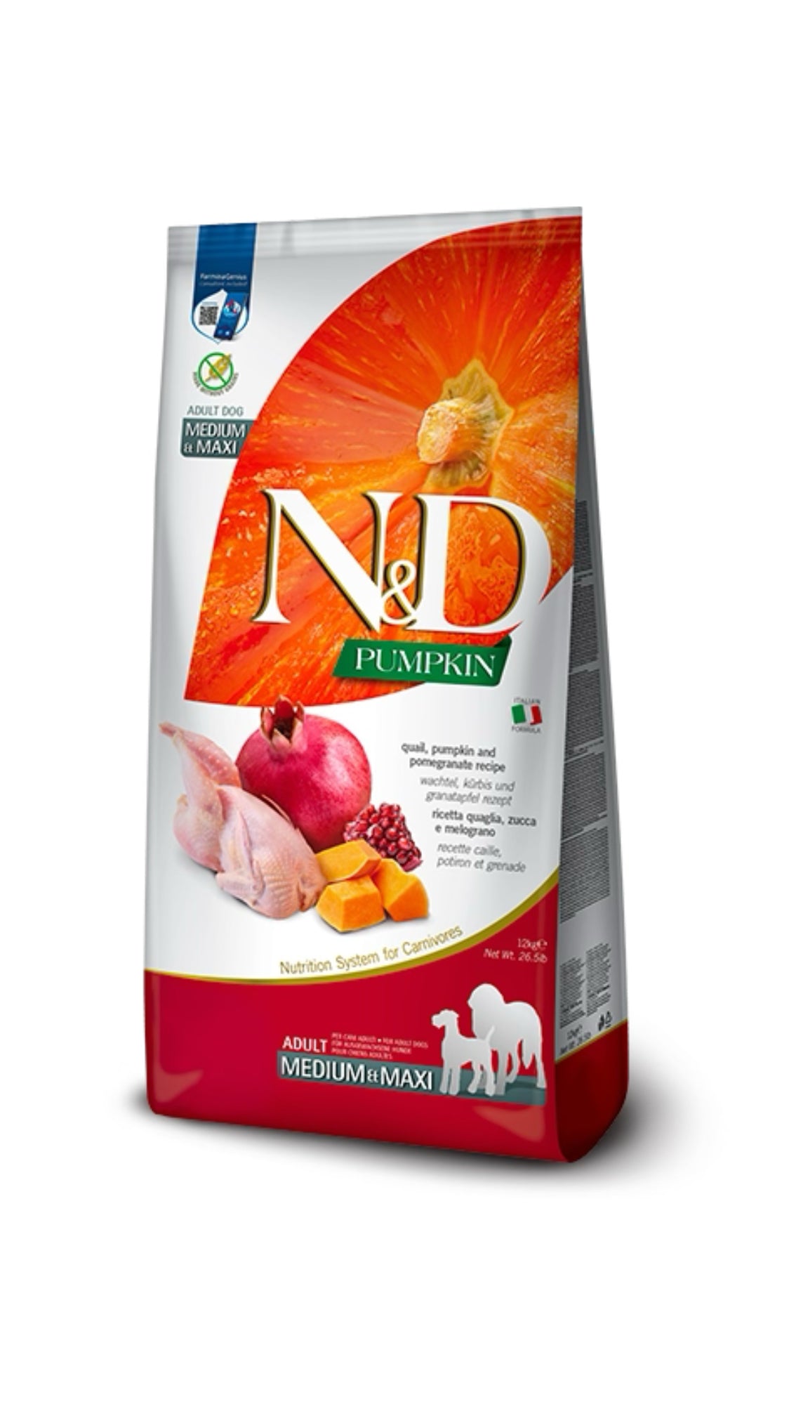 Nd Pumpkin Quaglia