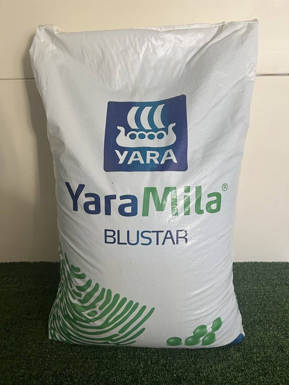 Yaramila Blustar 12 12 17