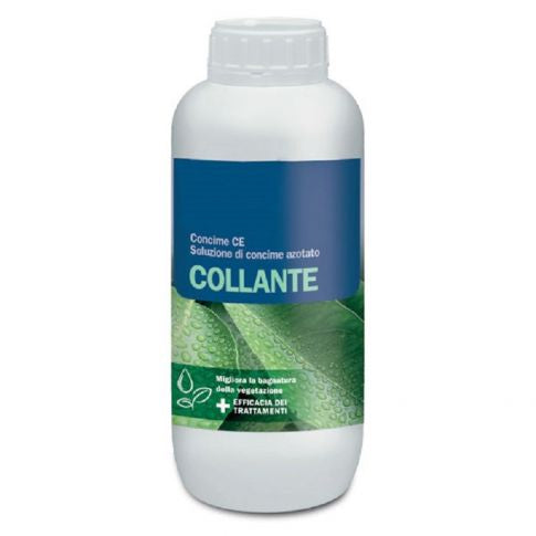 COLLANTE