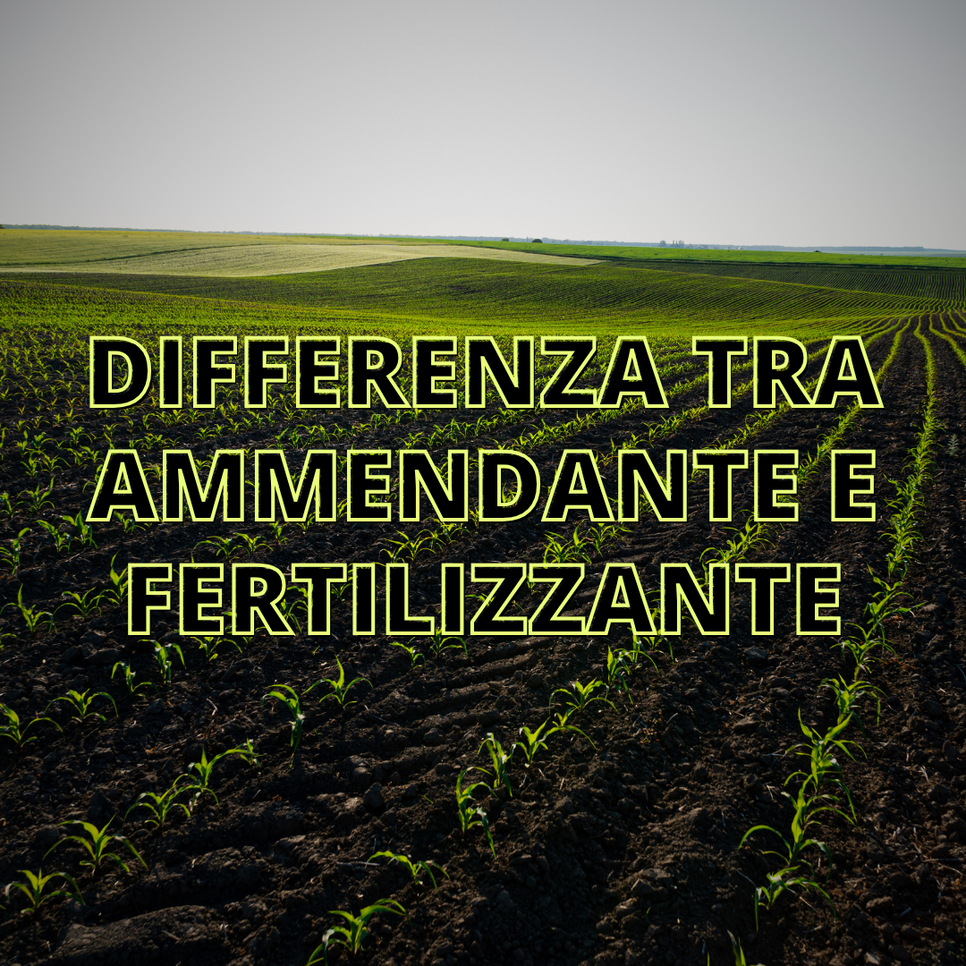 Differenza tra Ammendante e Fertilizzante