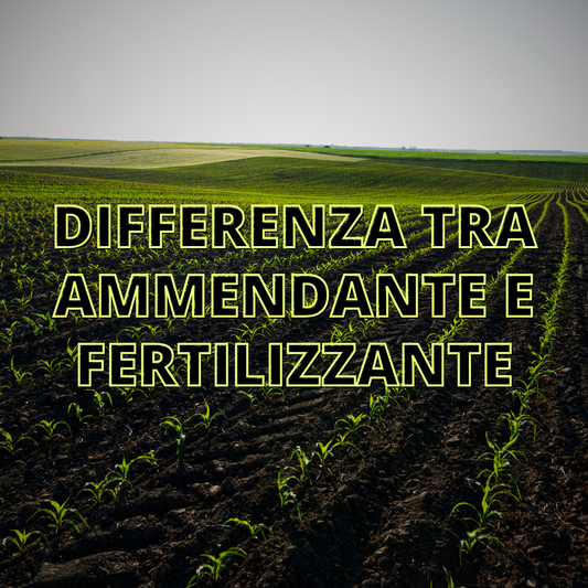 Differenza tra Ammendante e Fertilizzante