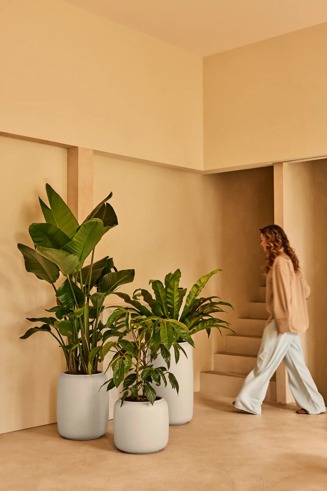 Vasi Design da Interno | Elho Amber Beads