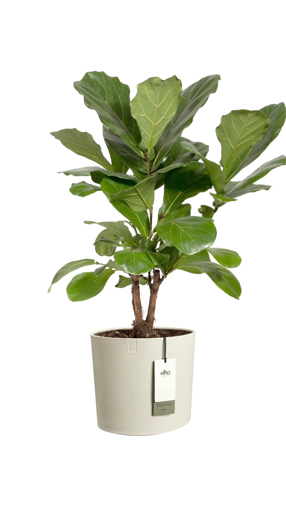 Vasi da Interno Design | Elho Eden