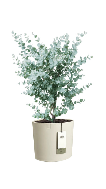 Vasi da Interno Design | Elho Eden