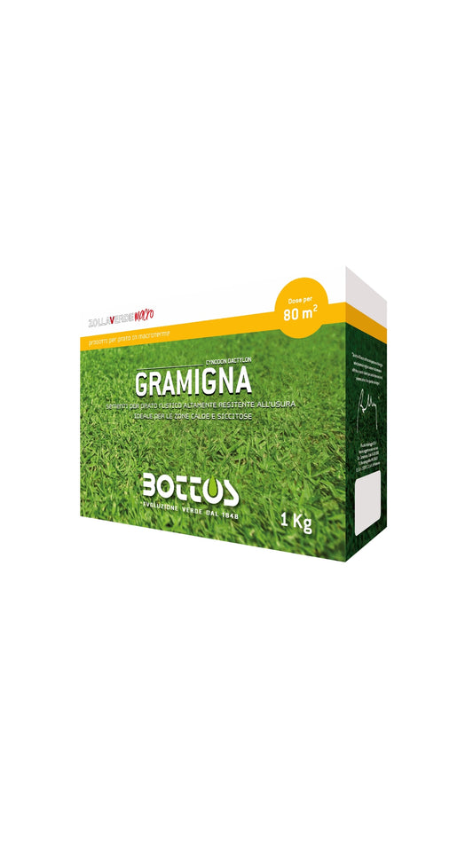 Gramigna