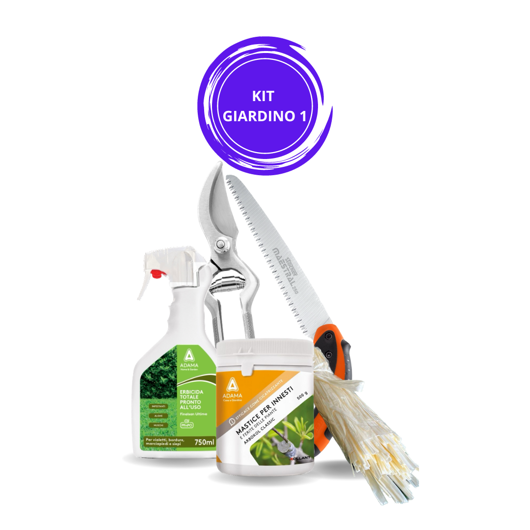 Kit Giardinaggio 9 Pezzi - Per Uomo E Donna, Con Rastrello, Pala, Cesoie, Per Interni Ed Esterni - Foto 5