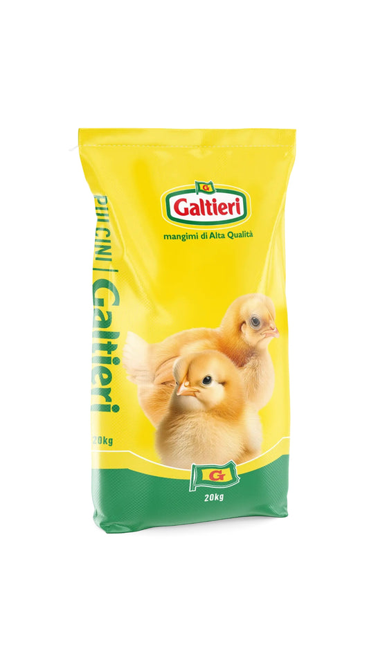 Mangime per Pulcini | Galtieri