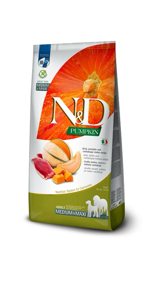 Nd Pumpkin Anatra