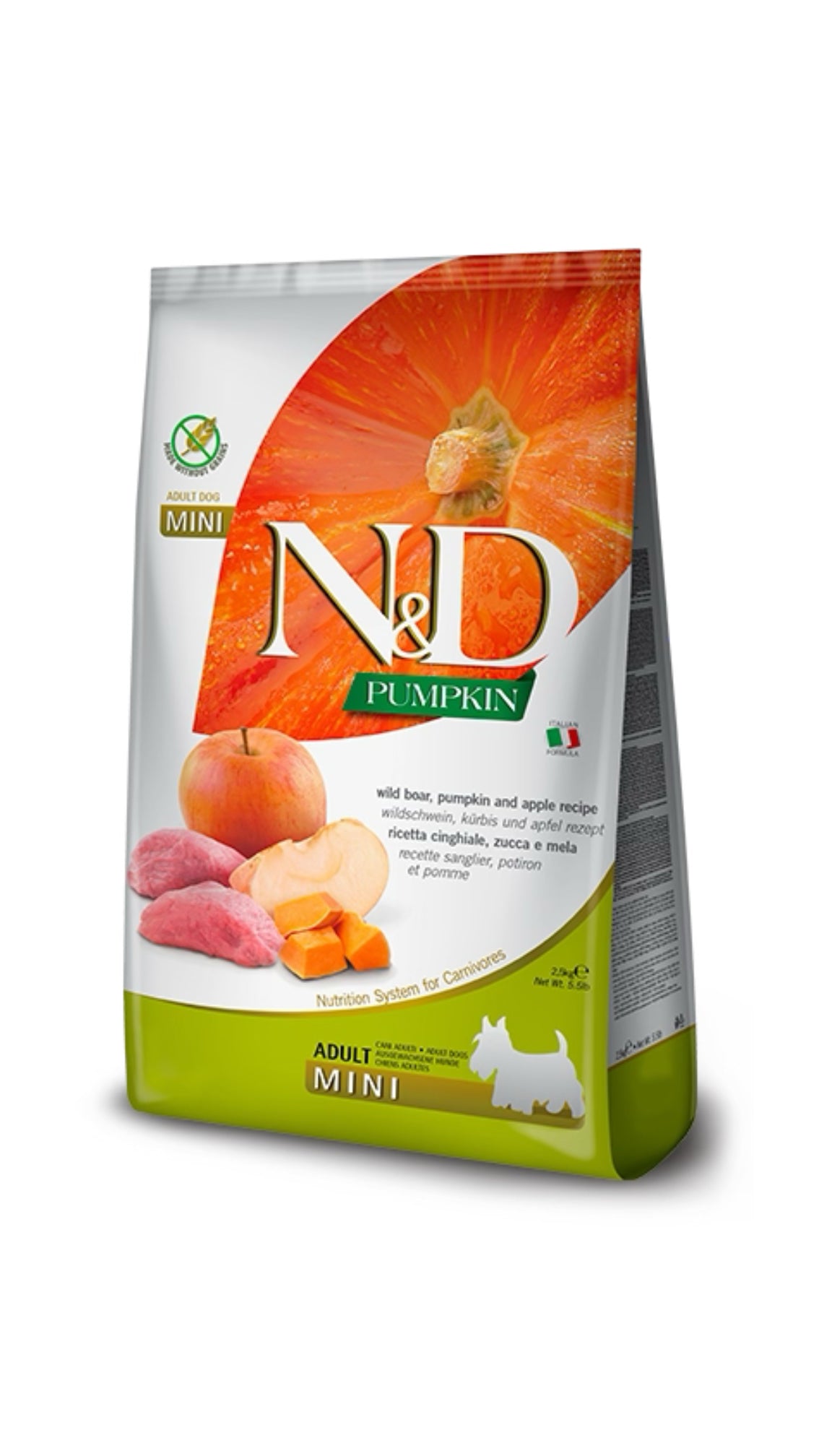 Nd Pumpkin Cinghiale