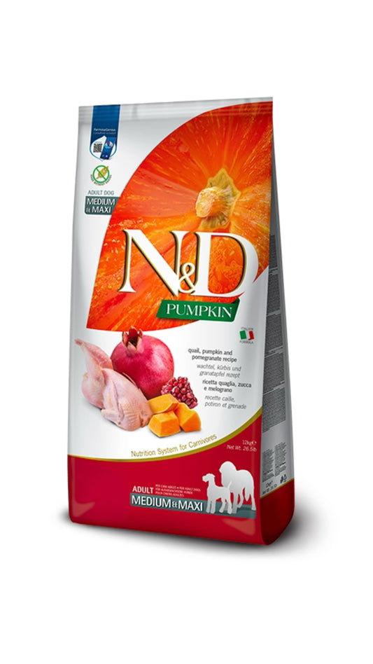 Nd Pumpkin Quaglia