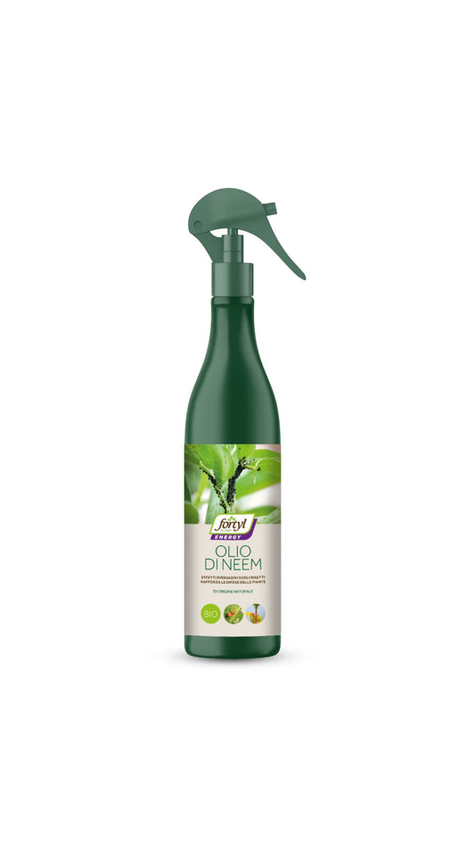 Olio Neem