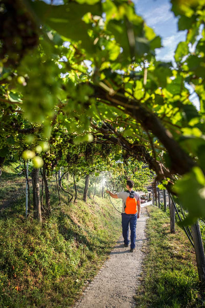 Pompa a Zaino Elettrica