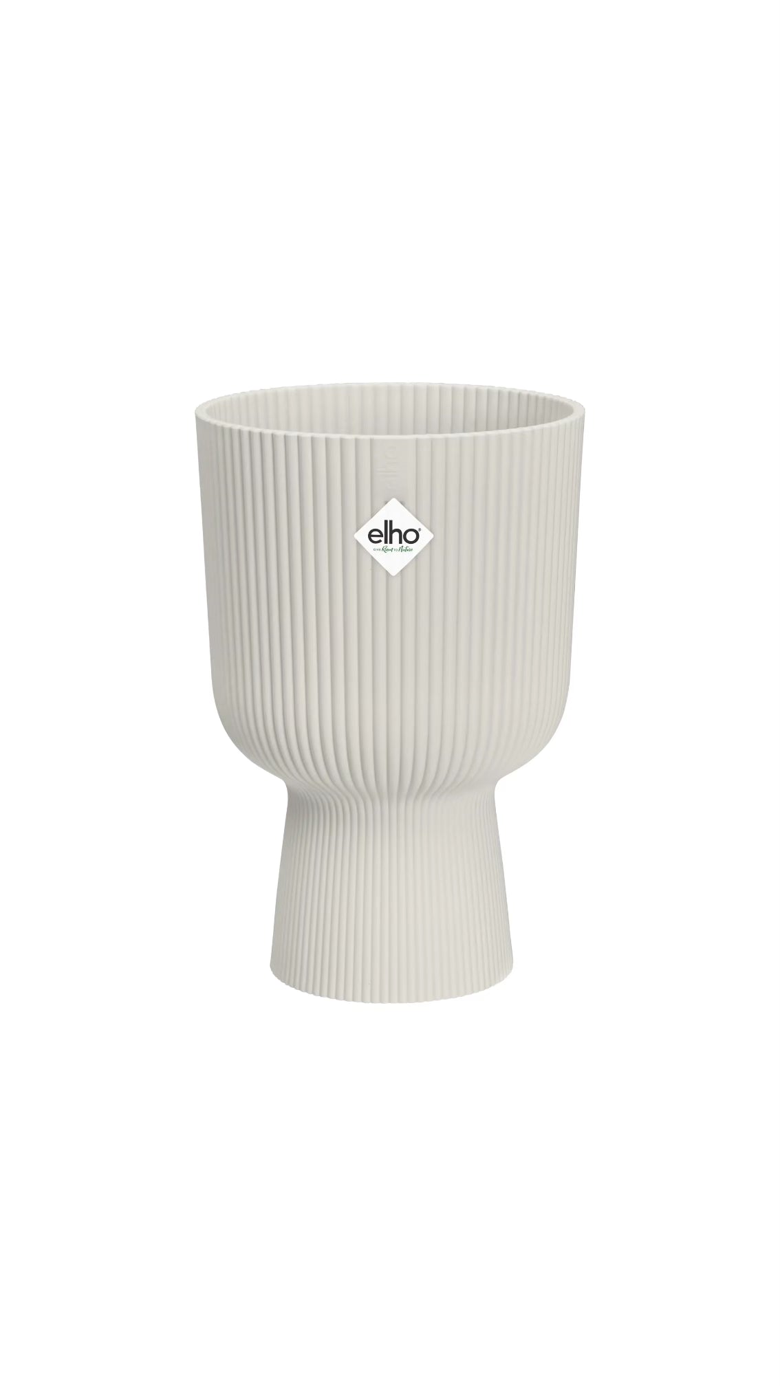 Vaso Pianta Interno
