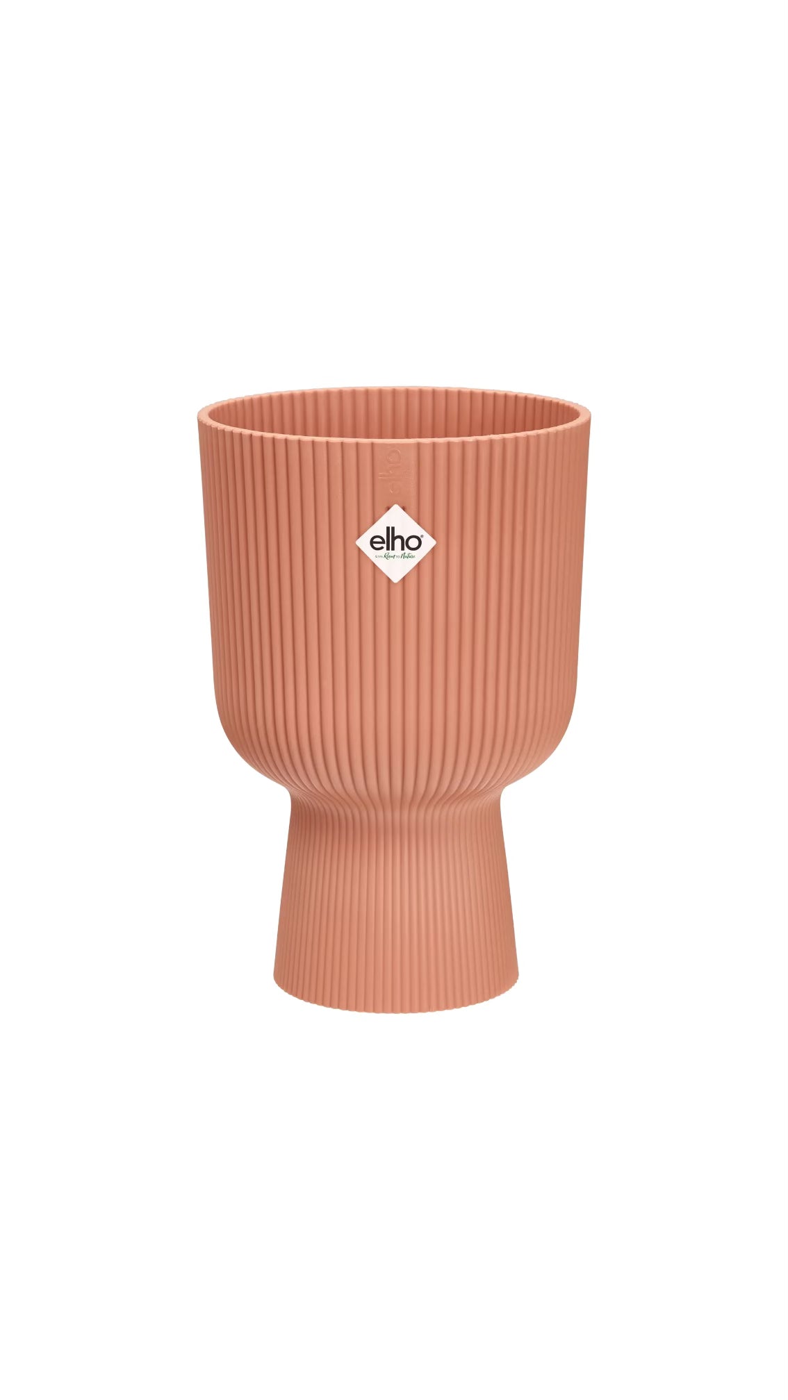 Vaso Pianta Interno