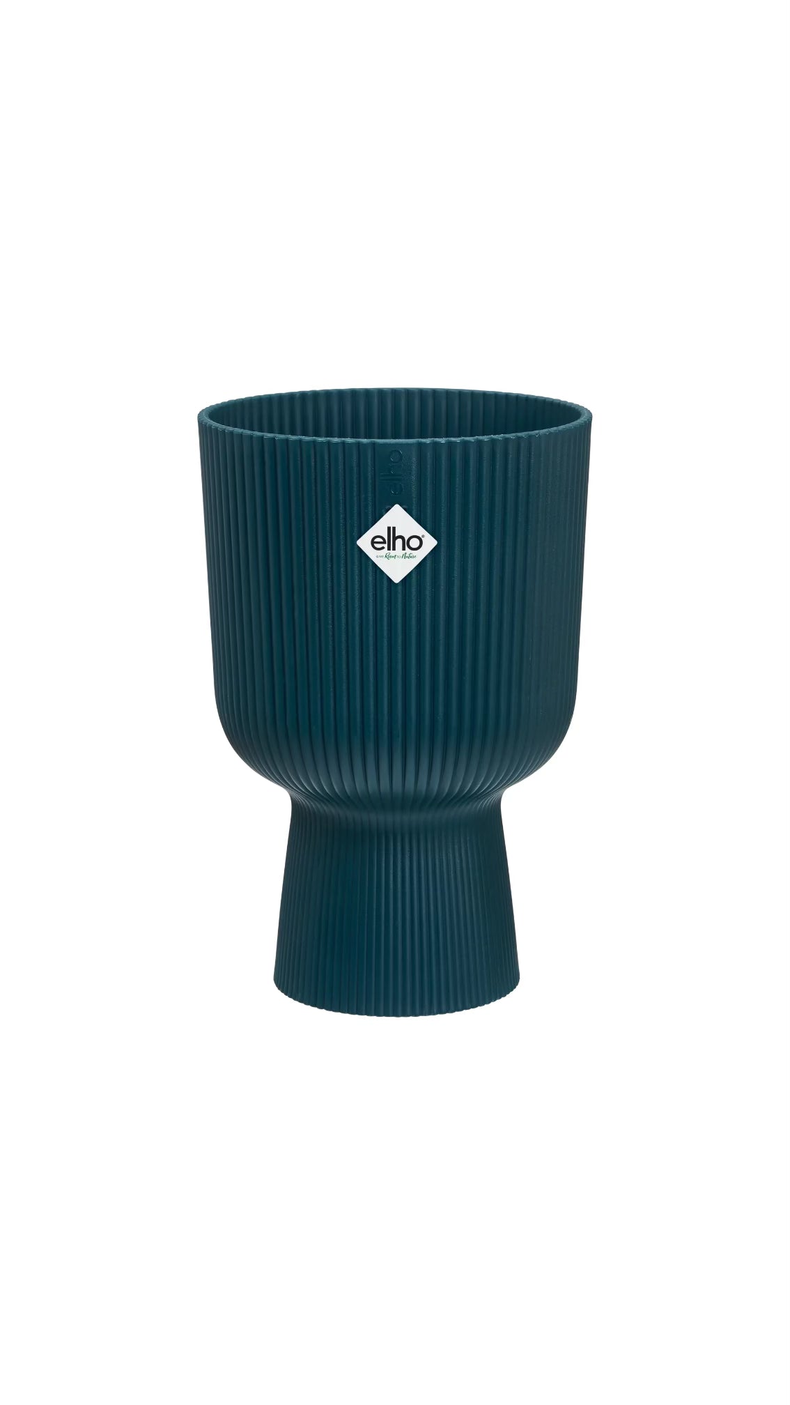 Vaso Pianta Interno