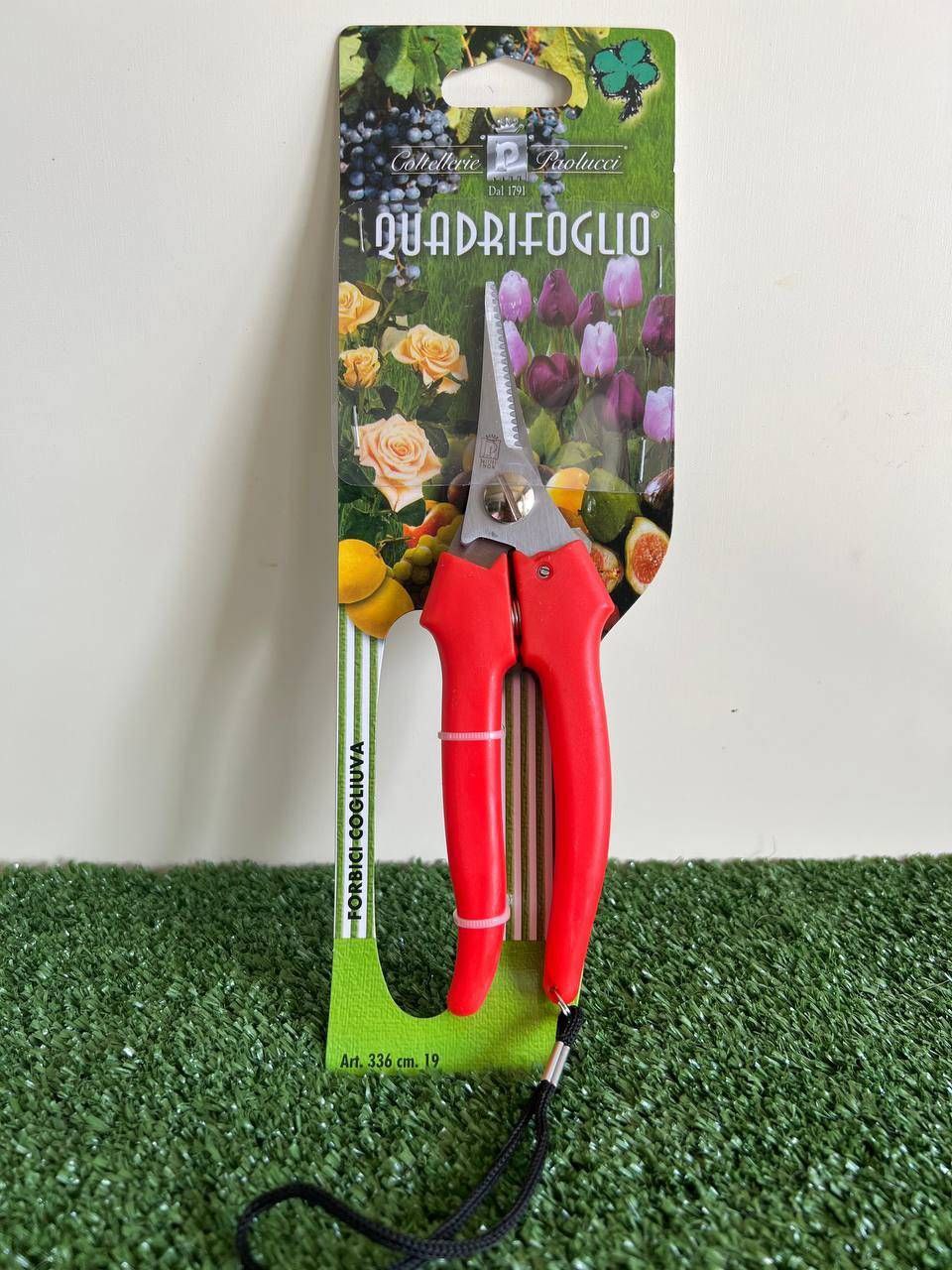 forbici uva