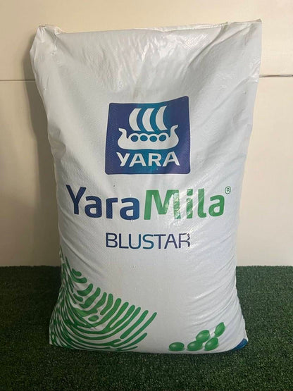 Yaramila Blustar 12 12 17