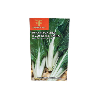 BIETOLA LISCIA VERDE A COSTE SEL. BARESE