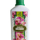 VERDE VIVO ORCHIDEE