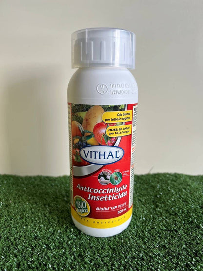 Olio Bianco Biolid Up PFnPE