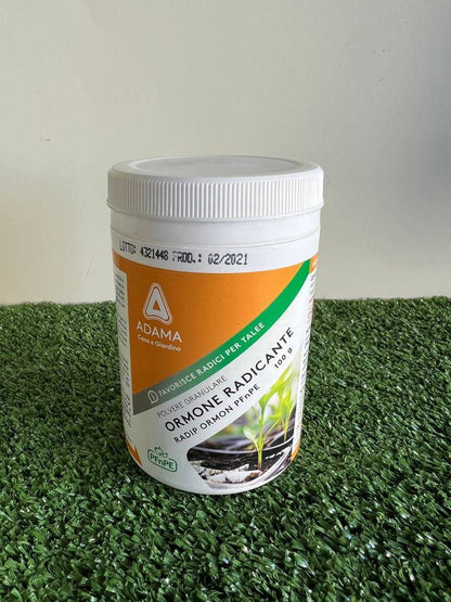 Ormone Radicante