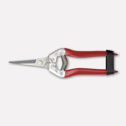 PAOLUCCI FORBICE PULISCI UVA