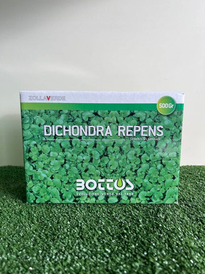 Dichondra Repens Bottos