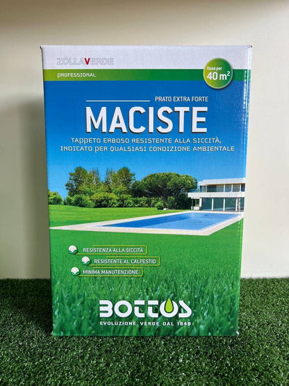 Sementi per Prato Bottos Maciste