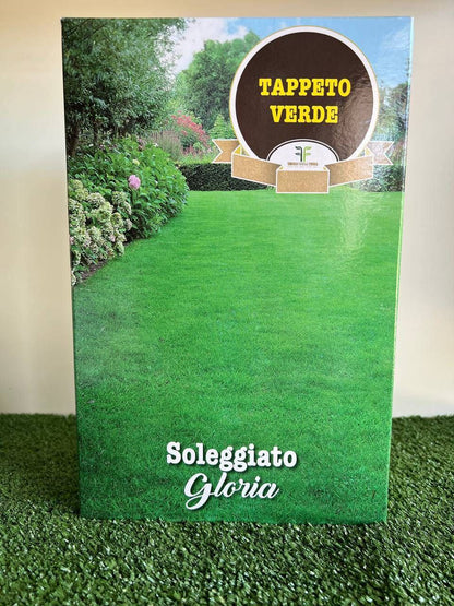 Sementi Prato Soleggiato Gloria